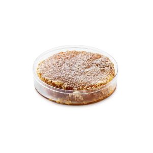 Natural waxy honey circle
